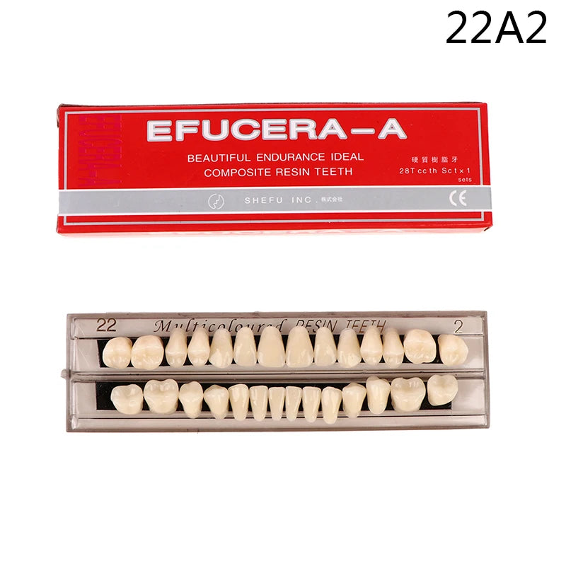 28teeth Resin Denture Teeth Comparator Mirror Dentistry Bleaching Dental Plate Research On Dental Education Model
