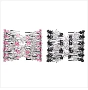 2 Pcs Pocket Travel Hair Comb Brush Men Beard Mustache Scalp Massage Brush Black