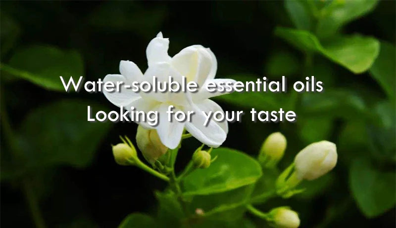 100% Pure Organic Therapeutic Grade Jasmine Oil for Diffuser, Sleep, Perfume, Massage, Skin Care, Aromatherapy, Bath - 10ML