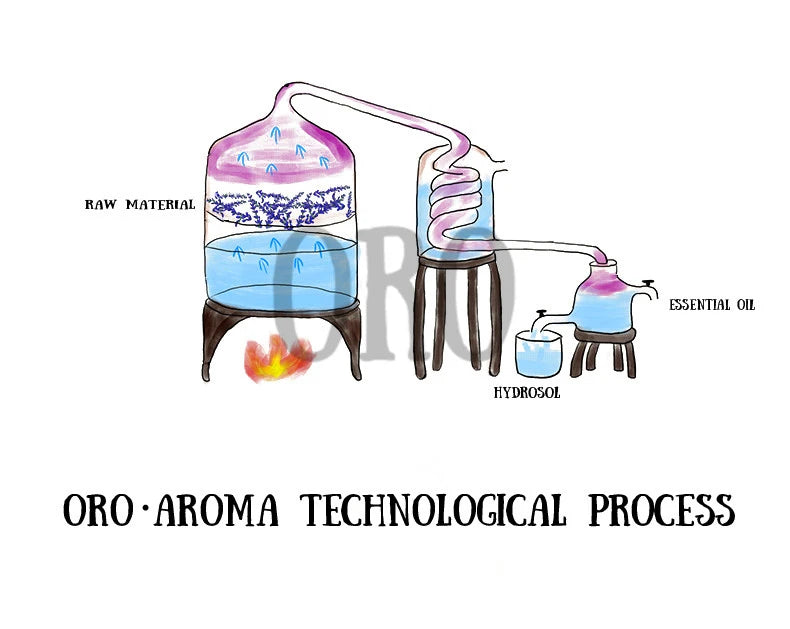 White Camphor Essential Oil Oroaroma Natural for Aromatherapy Diffusers Face Body Skin Care Massage Aroma Perfume Camphor Oil Viralgem Store