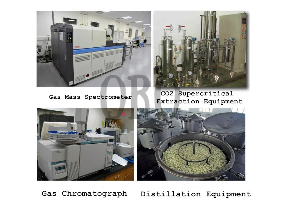 White Camphor Essential Oil Oroaroma Natural for Aromatherapy Diffusers Face Body Skin Care Massage Aroma Perfume Camphor Oil Viralgem Store