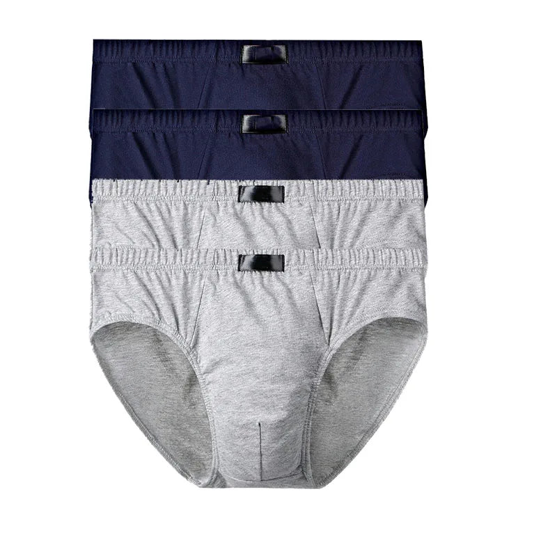 44490719395996|44490719428764|44490719461532|44490719494300|44490720379036|44490720444572|44490720477340