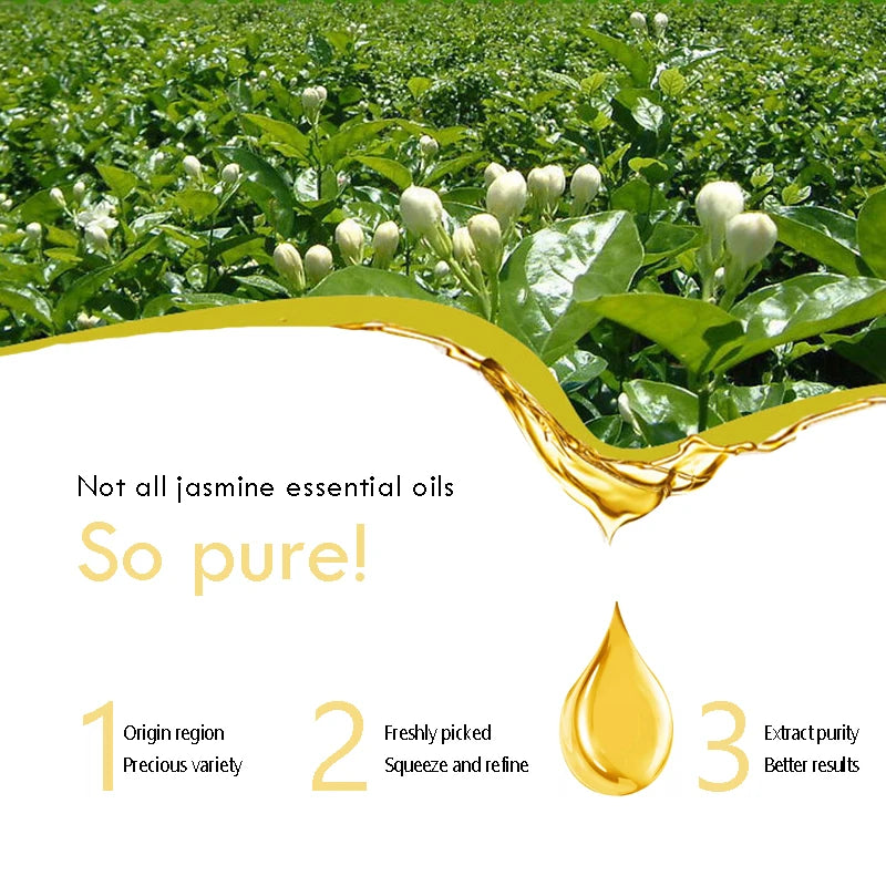 100% Pure Organic Therapeutic Grade Jasmine Oil for Diffuser, Sleep, Perfume, Massage, Skin Care, Aromatherapy, Bath - 10ML