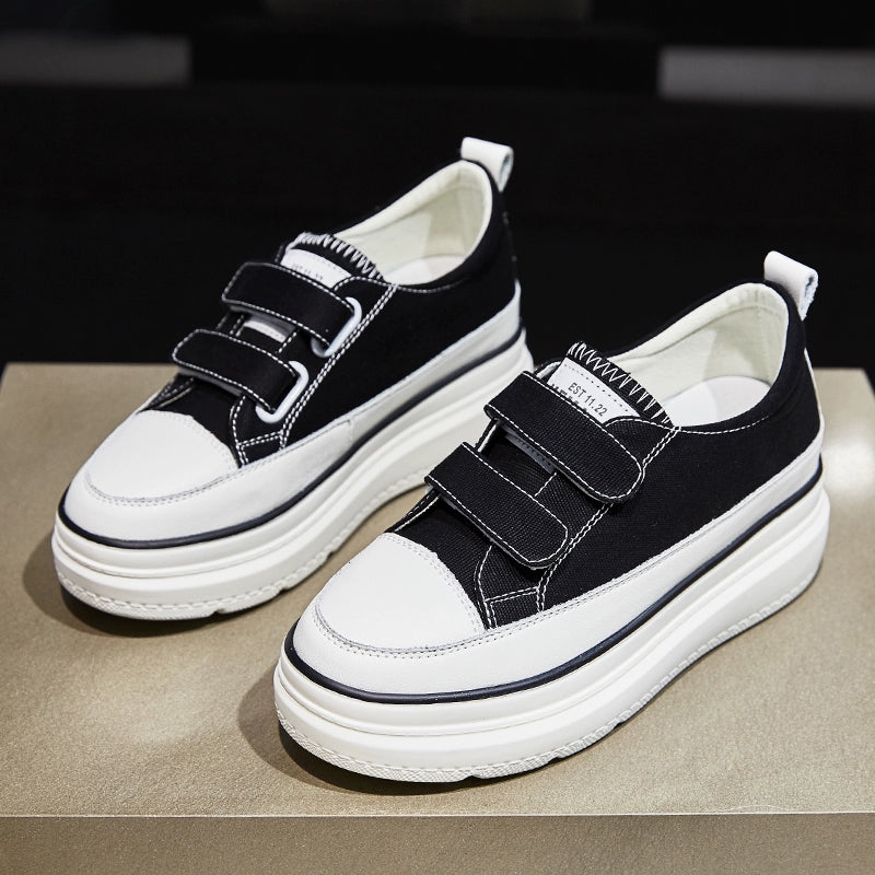 44475351761052|44475351793820|44475351892124|44475351924892|44475352088732|44475352121500