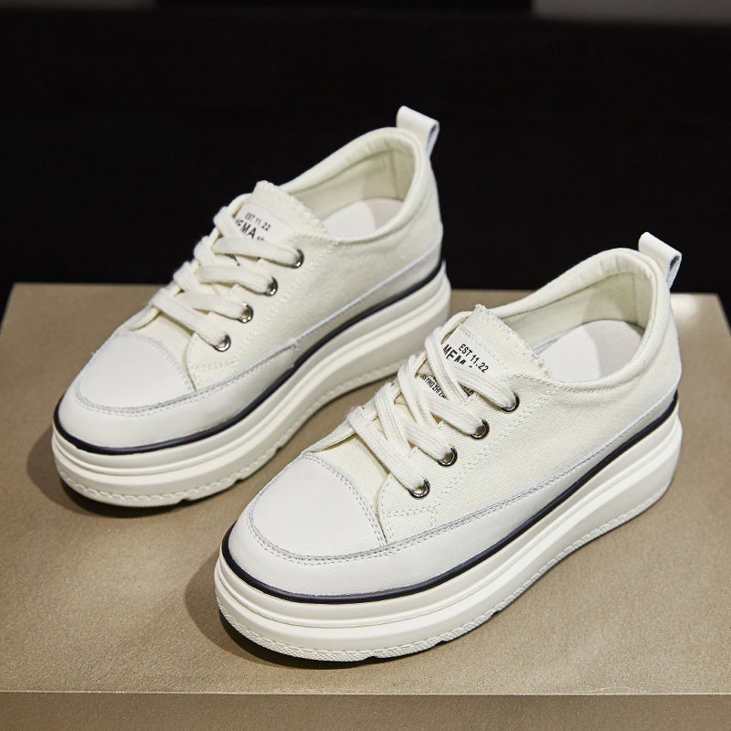 44475351957660|44475351990428|44475352023196|44475352055964|44475352350876|44475352383644