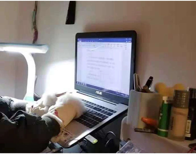 Women's Warm Half Finger Gloves Viralgem Store