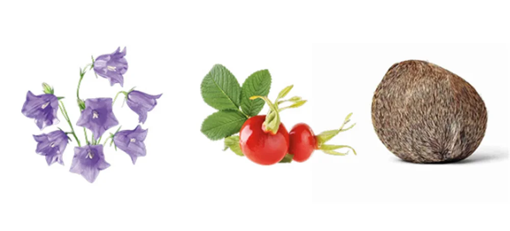 Unicorn Series Original Perfume Women 80ml духи Plant Floral Scent Spray Perfumes De Mujer Fresh Natural Pheromone Parfums Dames Viralgem Store