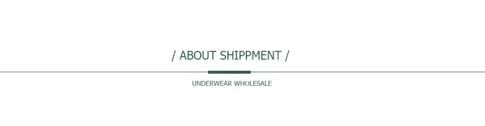 5 PCS/SET Lingerie Sexy Lace Thongs Woman Low G String Girls Underpants M-XL Transparent T-back Underwear Women Panties Viralgem Store