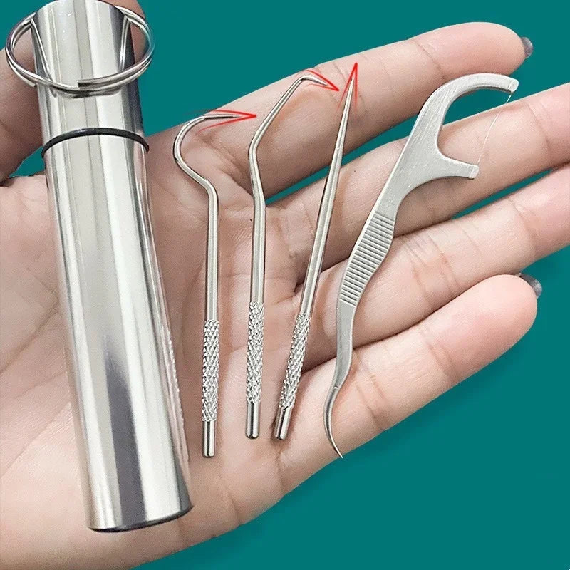 1Set Toothpick Set Metal Stainless Steel Oral Cleaning Tooth Flossing Portable Toothpick Floss Teeth Cleaner with Storage Tube
