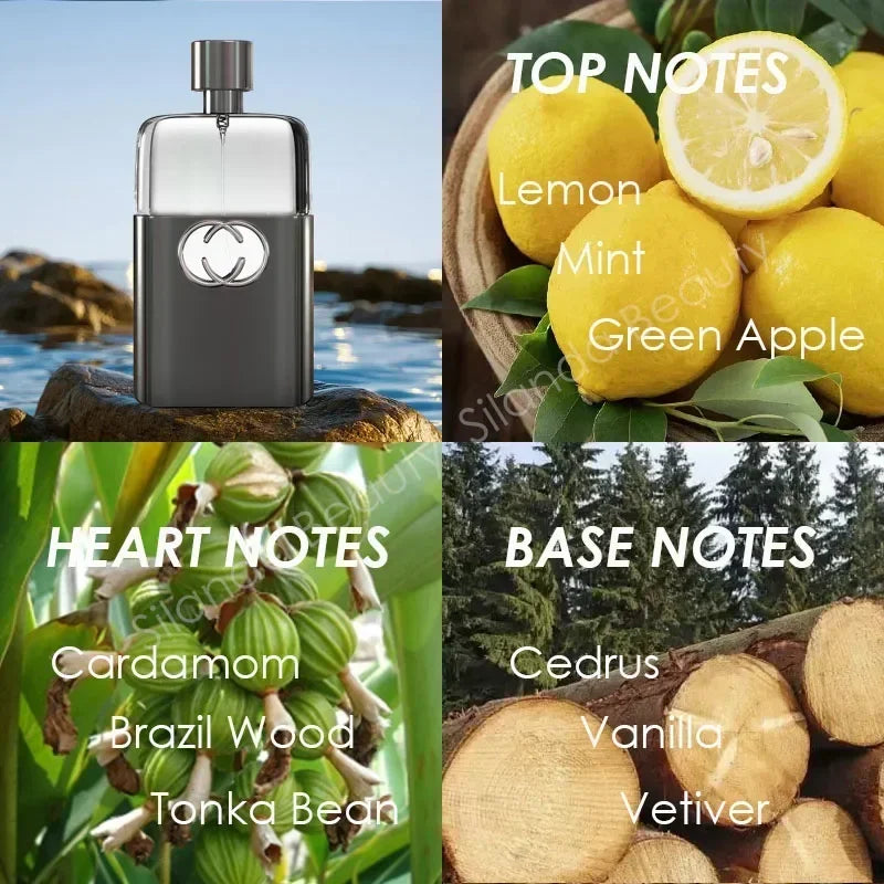 75ml Men's Perfume Eau De Parfum Homme Spray - Male Body Mist Cologne Fresh Scent Woody Notes Long Lasting Fragrance Viralgem Store