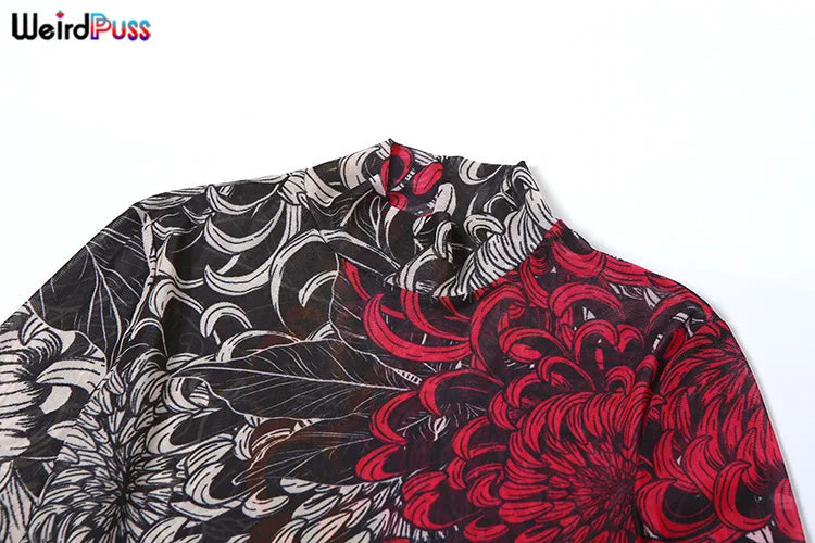 Weird Puss Thin Sheer Women Dress Mesh Contast Color Print High Waist Slim Fit Fashion Bodycon Nightout Clubwear Party Long Robe