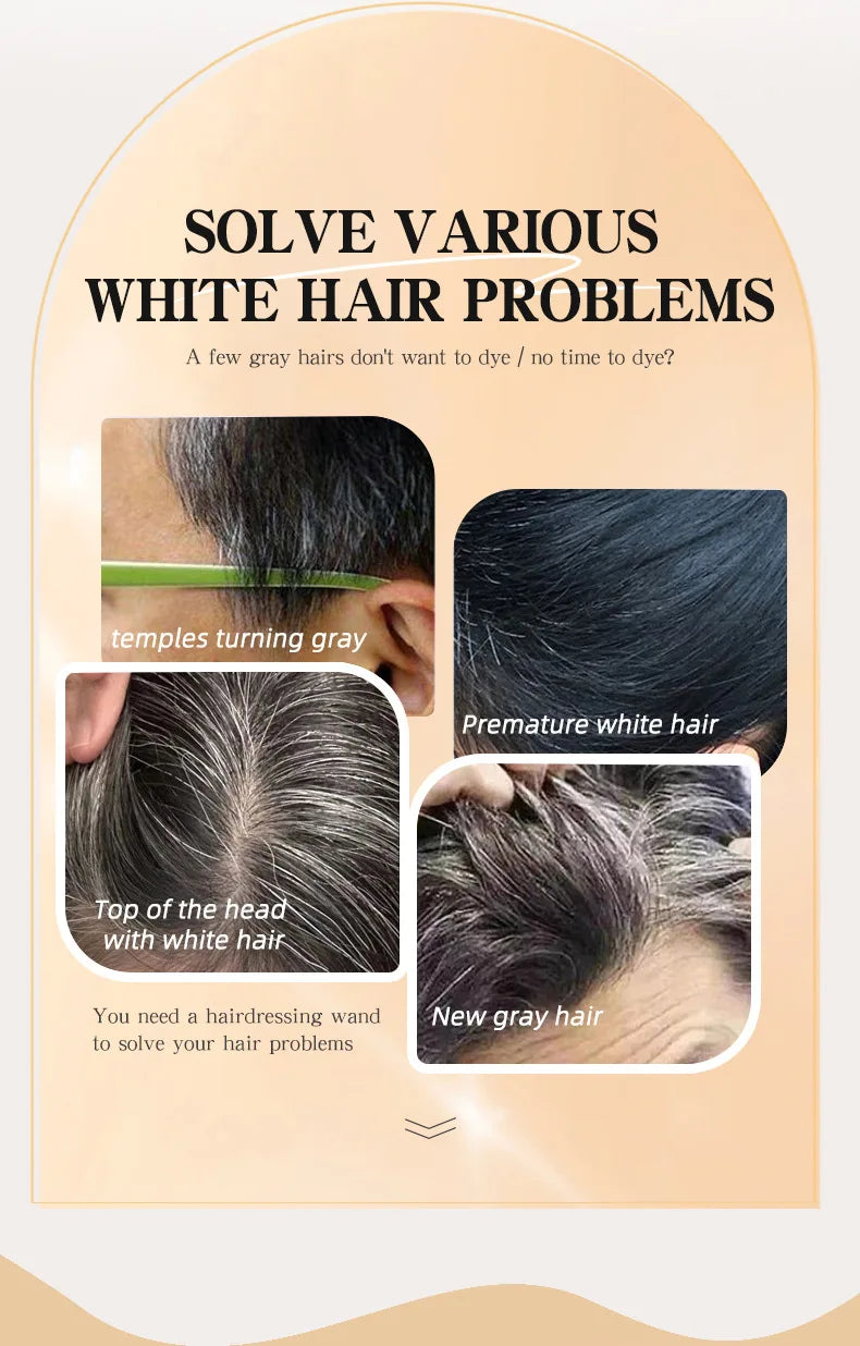 2-in-1 Hair Color Brush & Comb - Instant Gray Coverage, On-The-Go Root Touch Up, Washable Temporary Black Dye for Men/Women Viralgem Store