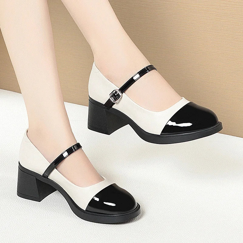 Women Shoes 2024 New Fashion Retro Round Toe Soft Leather Casual Mary Jane Shoes Shallow Mouth Waterproof Platform Shoes Viralgem Store