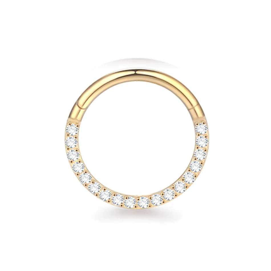 1pcs Titanium Cubic Zirconia Bee Flower Stud Earring Helix Tragus Daith Piercing Hinged Segment Hoop Body Jewelry Viralgem Store