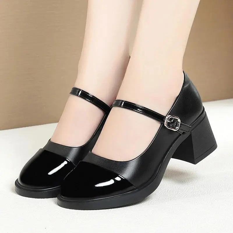Women Shoes 2024 New Fashion Retro Round Toe Soft Leather Casual Mary Jane Shoes Shallow Mouth Waterproof Platform Shoes Viralgem Store