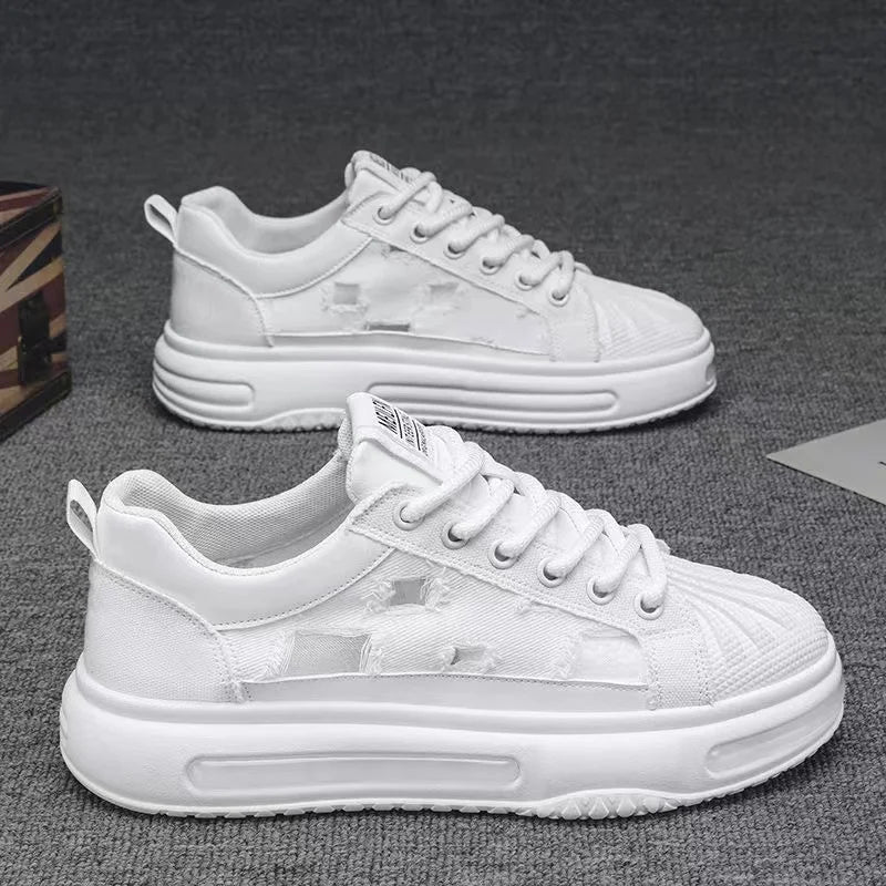 44420646142108|44420646207644|44420646273180|44420646338716|44420646731932|44420646764700