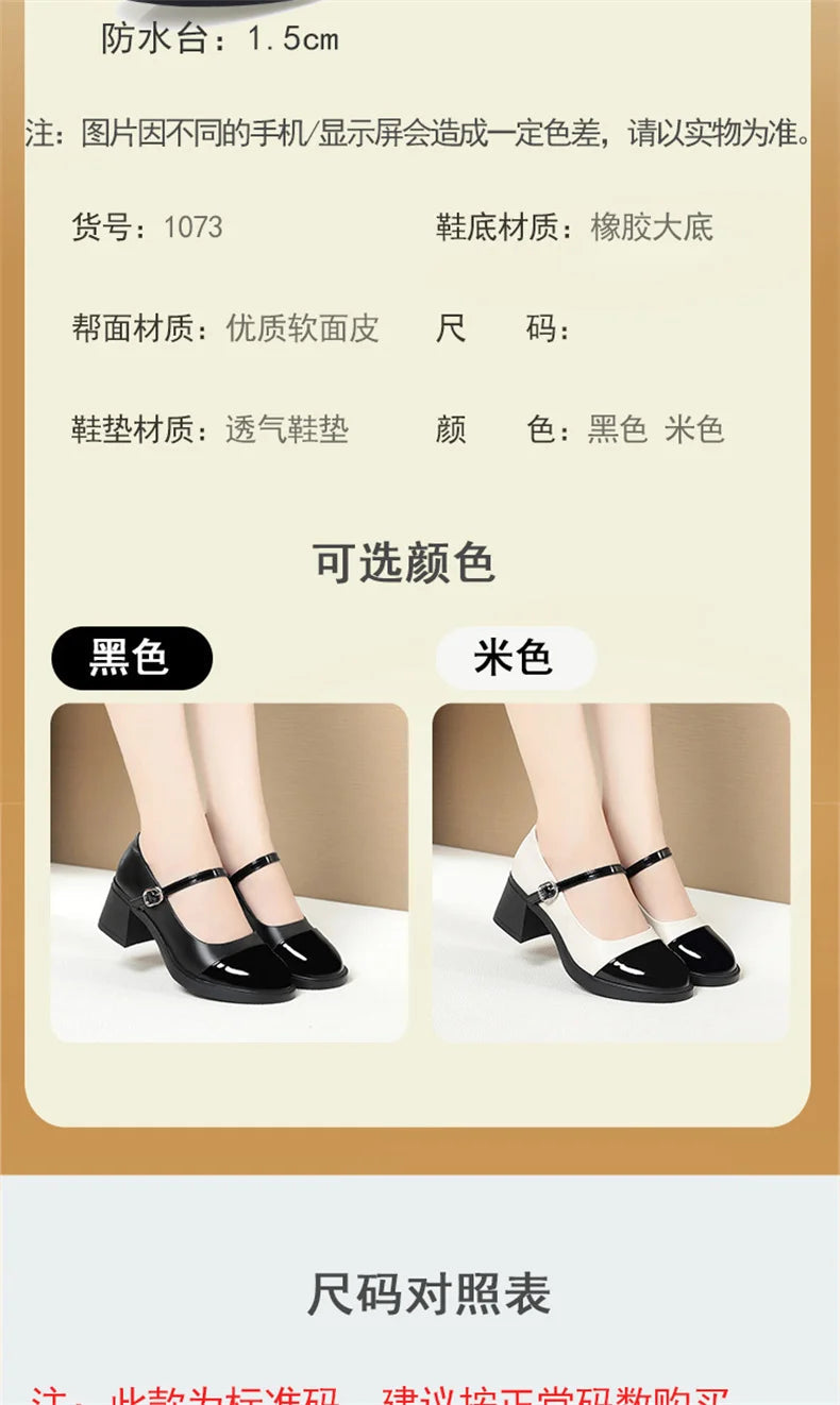 Women Shoes 2024 New Fashion Retro Round Toe Soft Leather Casual Mary Jane Shoes Shallow Mouth Waterproof Platform Shoes Viralgem Store