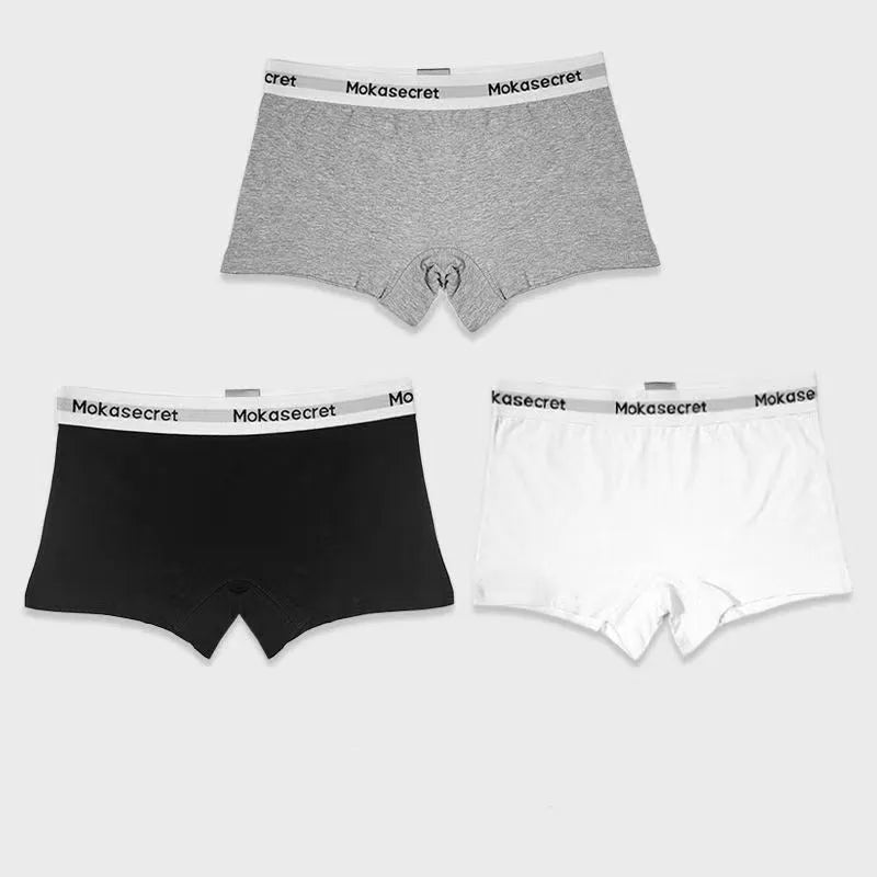 44490821828764|44490821861532|44490821894300|44490821927068