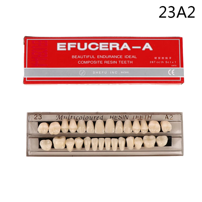 28teeth Resin Denture Teeth Comparator Mirror Dentistry Bleaching Dental Plate Research On Dental Education Model