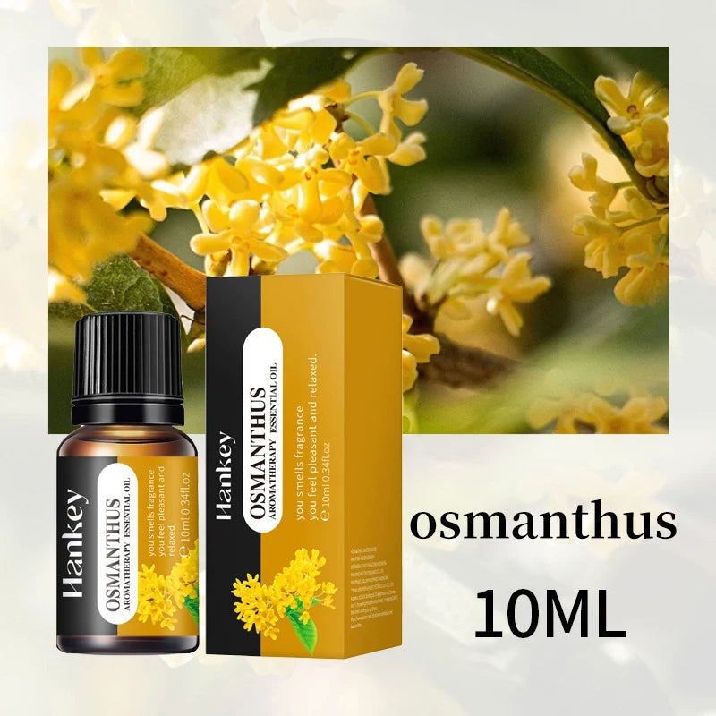 10ml Essencial Fragrance Oil for DIY Candles Making Pure Nature Oil for Diffuser Aromatherapy Fragrance Oil Vanilla Lavender Viralgem Store