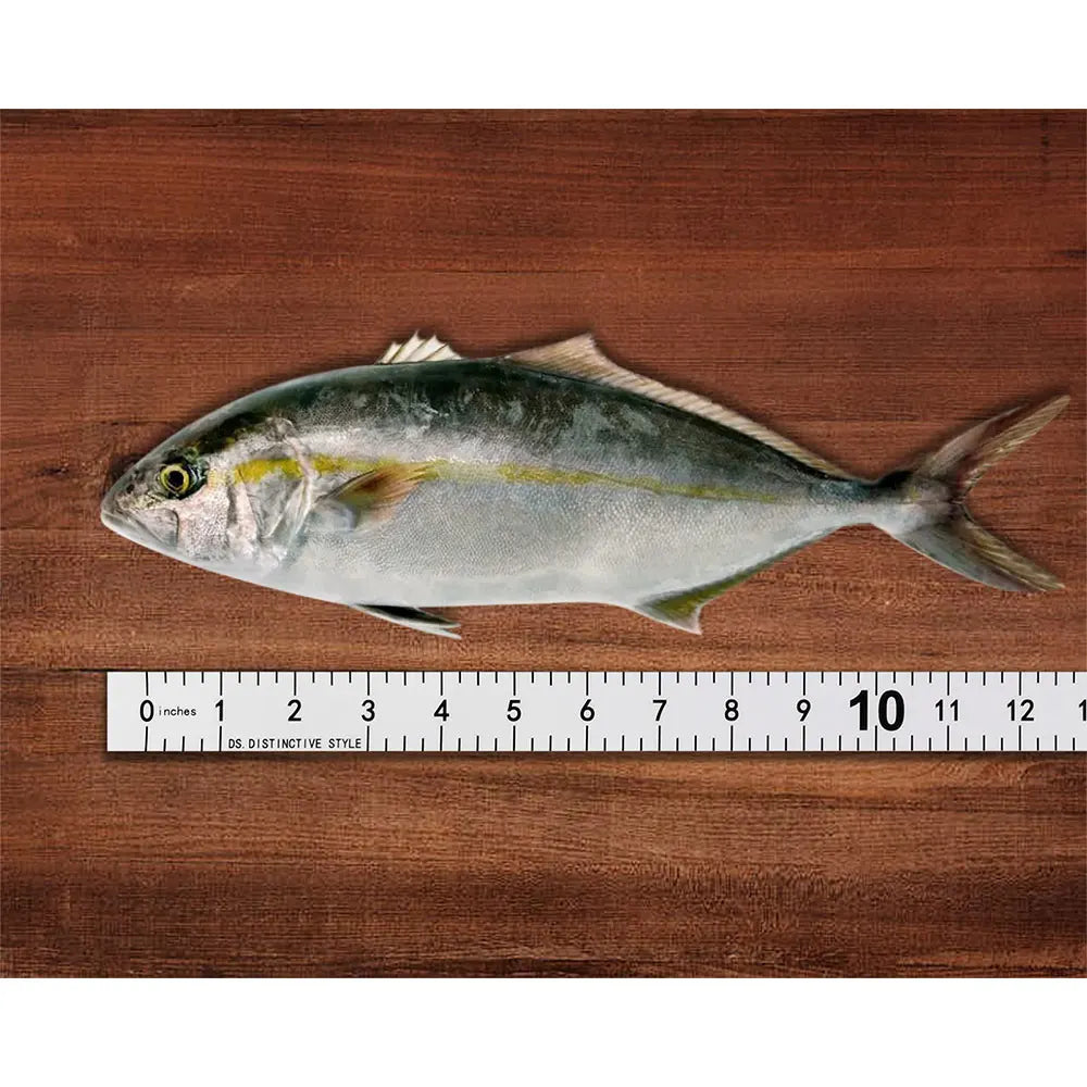 Sticky Ruler Scale With Glue Sticker Woodworking Guide Rail Self-Adhesive International Standard Scale Tape Measure Flat Ruler