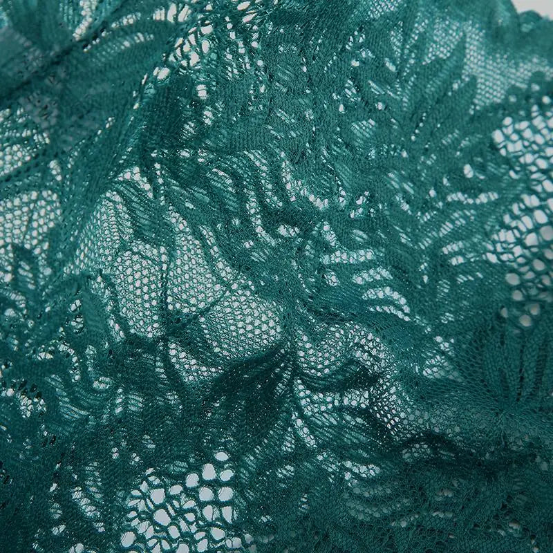 1PC Lace Underwear Sexy Women Panties Low Waist Hollow Out Ladies Briefs Transparent Female Underpants Womens Lingerie S-XL