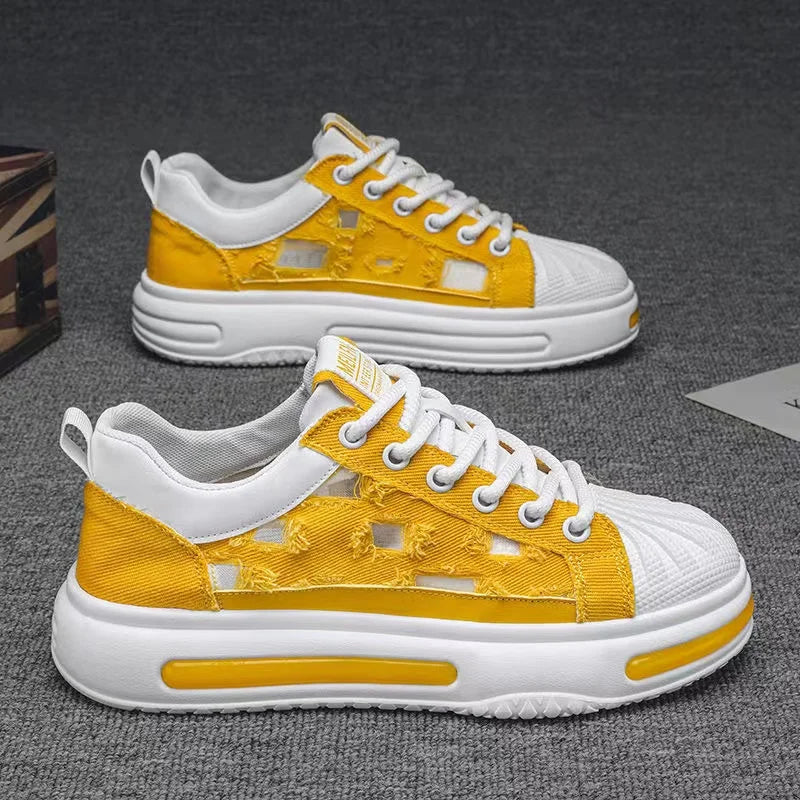 44420646666396|44420646699164|44420646797468|44420646830236|44420646863004|44420646895772