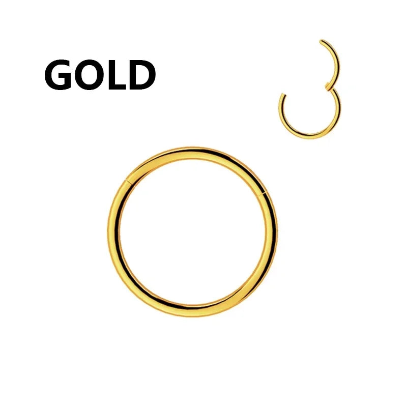 1PC Stainless Steel Nose Hoop Septum Piercing Clicker Hinged Segment Rings Lip Helix Daith Conch Cartilage Earrings Sexy Jewelry Viralgem Store