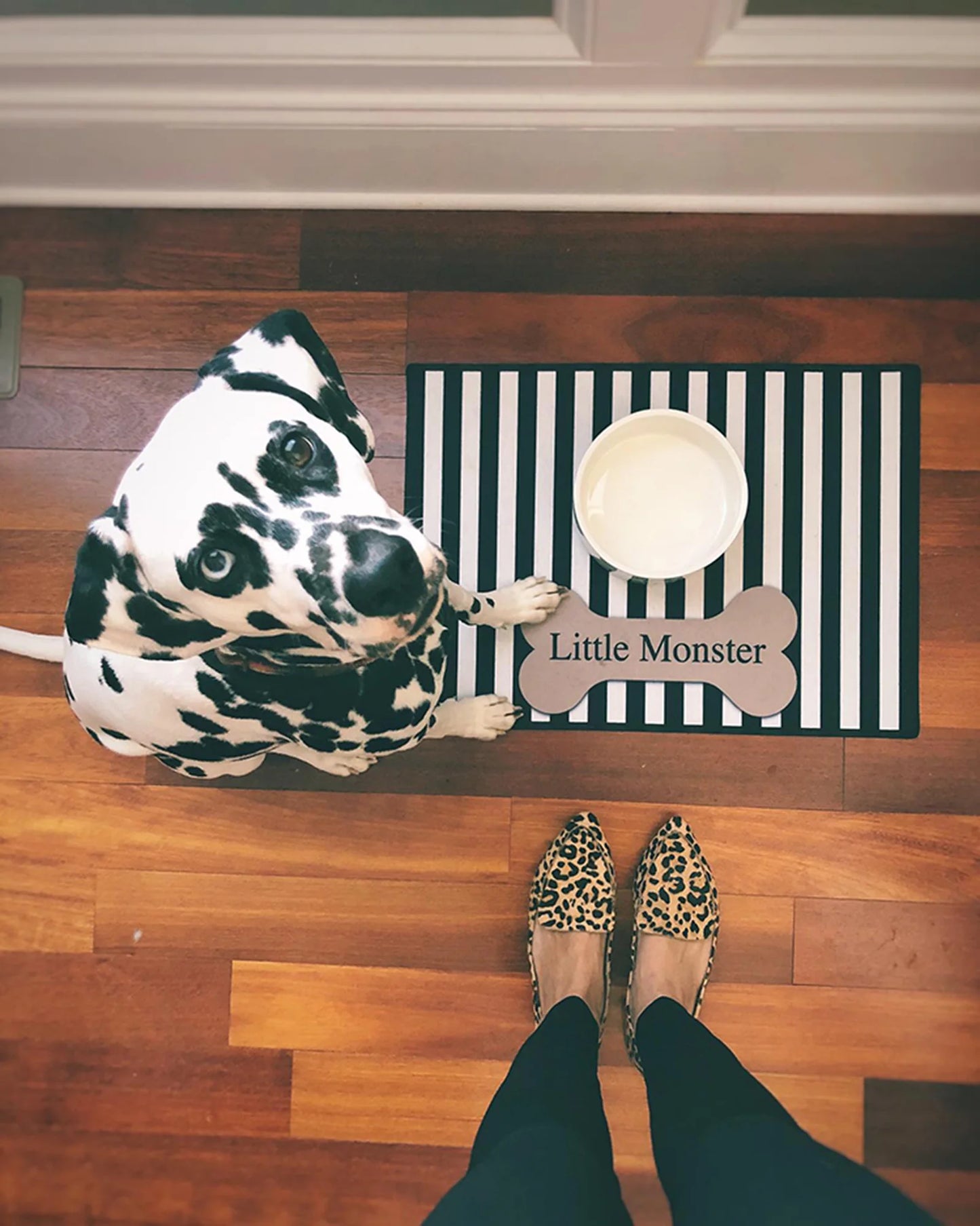 Women's Casual Flat Shoes Loafers Women Fashion Comfortable CHUQING Brand Leopard Shoes Trend Breathable and Comfortable