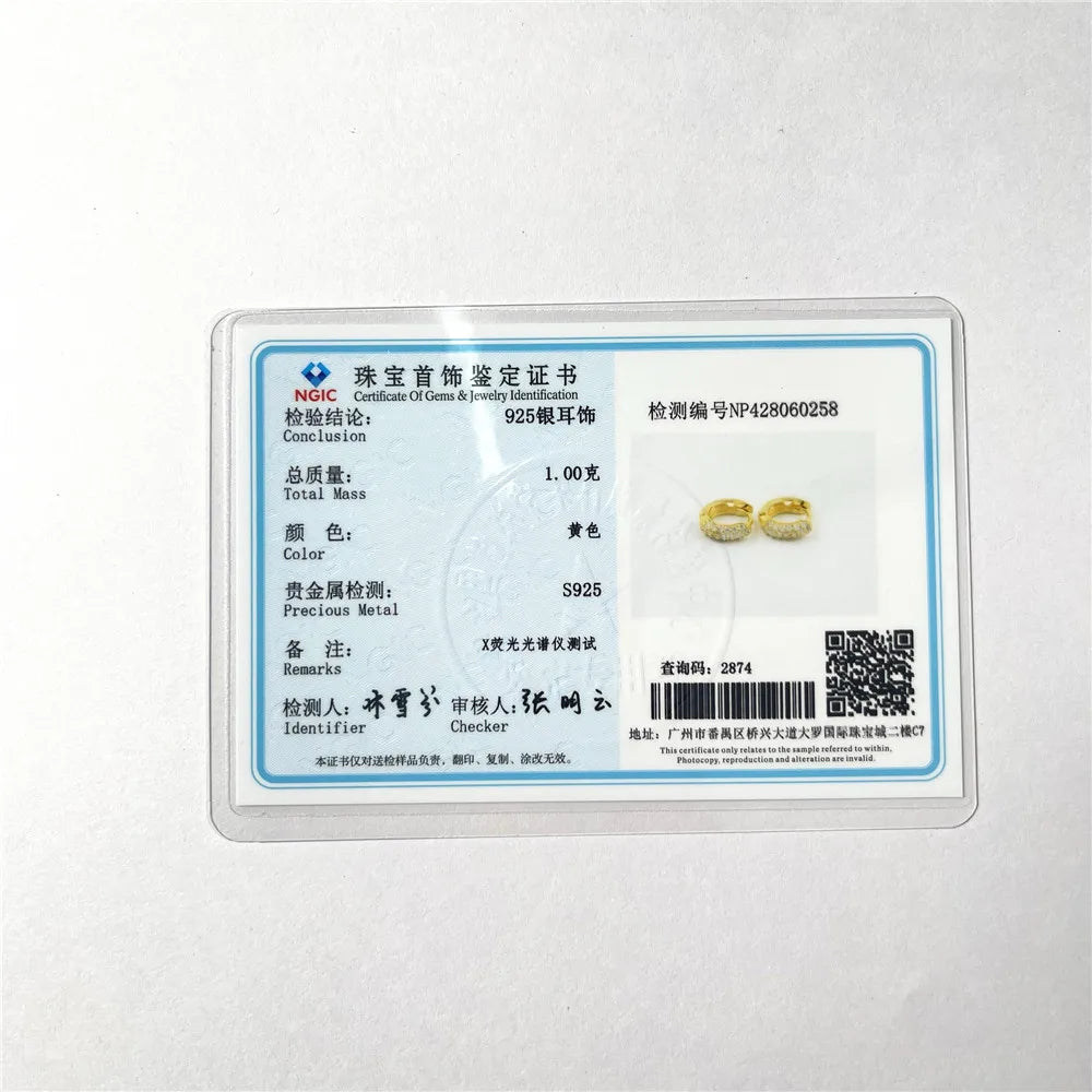 Aide 925 Sterling Silver Pave White CZ Stone Thick Hoop Earrings For Women Minimalist Mini Cartilage Chunky Earring Hoops Gift