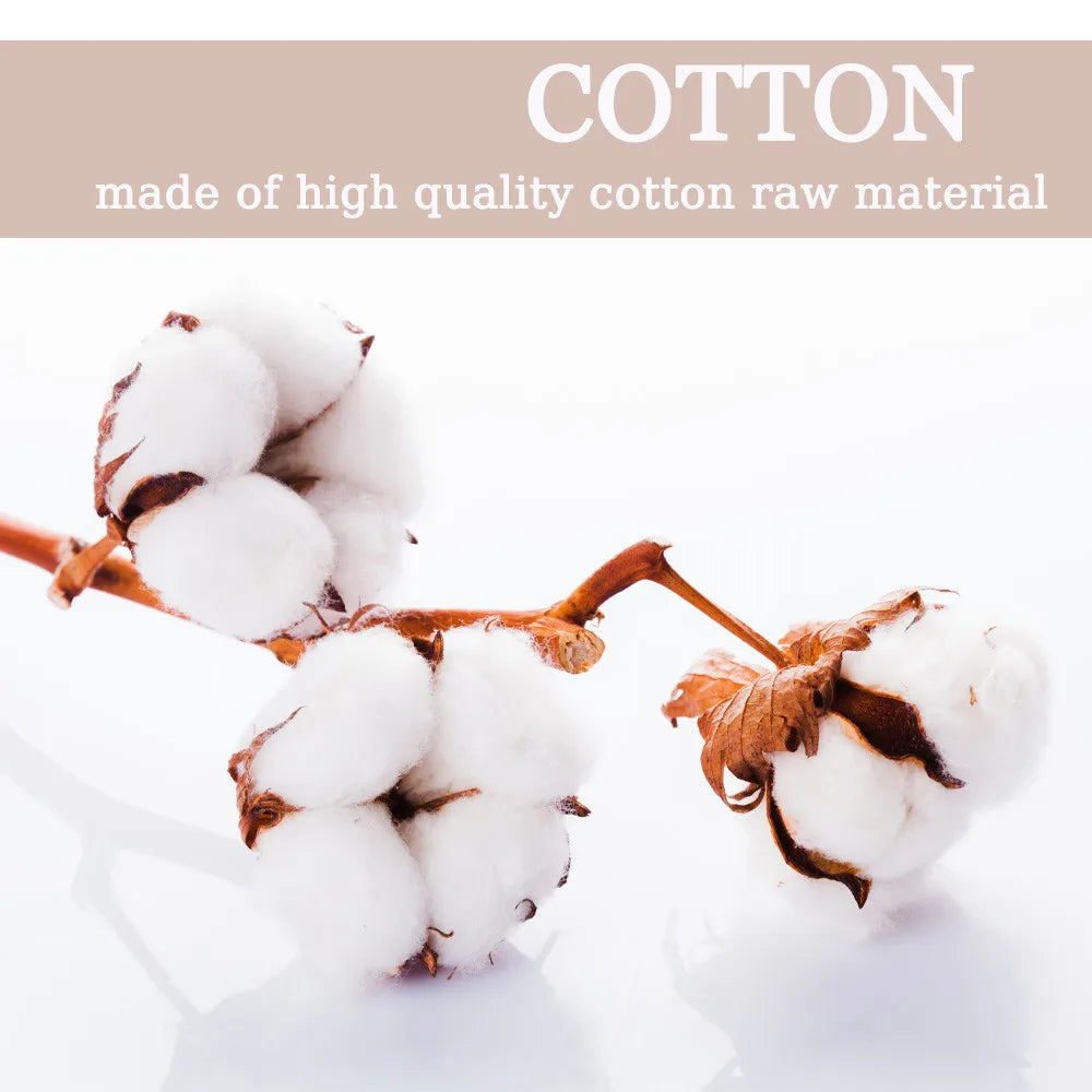 Women Sexy Panties Lace Thongs Women G-string Female Underwear Panties Romantic Lingeries for Ladies T-back Free Shiping Items Viralgem Store