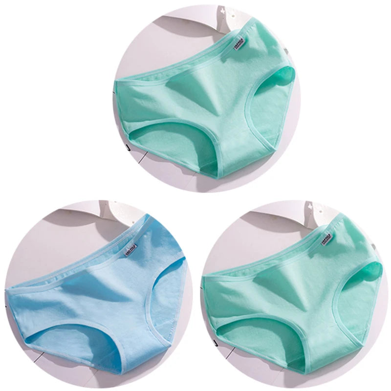 44490765533340|44490765566108|44490765631644