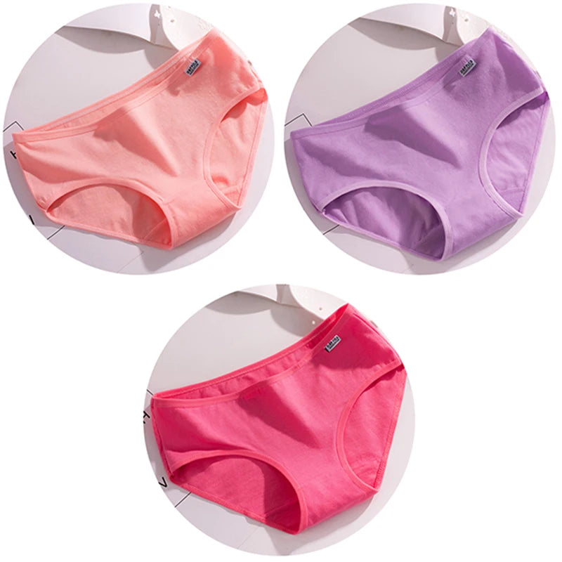 44490762977436|44490763042972|44490763108508