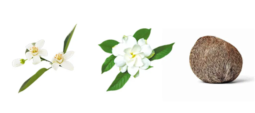 Unicorn Series Original Perfume Women 80ml духи Plant Floral Scent Spray Perfumes De Mujer Fresh Natural Pheromone Parfums Dames Viralgem Store