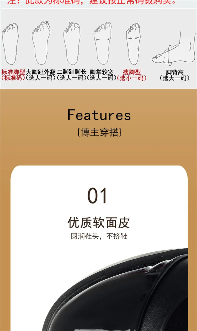 Women Shoes 2024 New Fashion Retro Round Toe Soft Leather Casual Mary Jane Shoes Shallow Mouth Waterproof Platform Shoes Viralgem Store