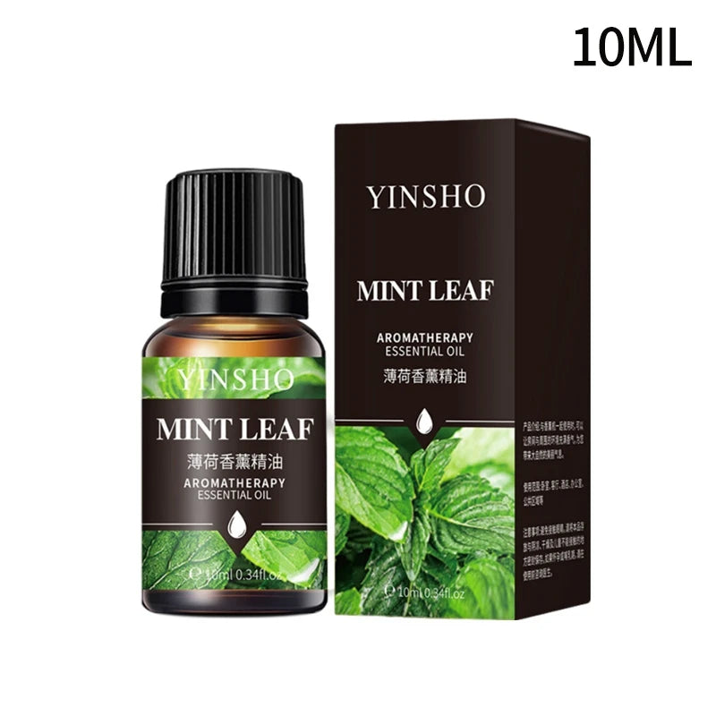 10ml Essencial Fragrance Oil for DIY Candles Making Pure Nature Oil for Diffuser Aromatherapy Fragrance Oil Vanilla Lavender Viralgem Store