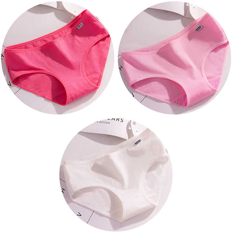 44490763272348|44490763305116|44490763501724