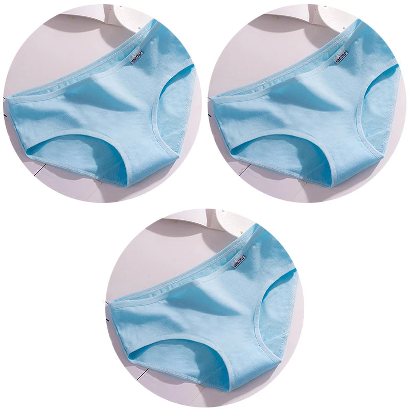 44490765861020|44490766057628|44490766090396