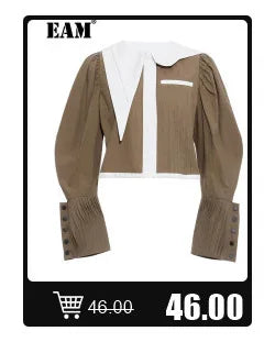 [EAM] Women Black Hollow Out Big Size Midi Shirt Dress New Lapel Long Sleeve Loose Fit Fashion Tide Spring Autumn 2024 1DF6037 Viralgem Store