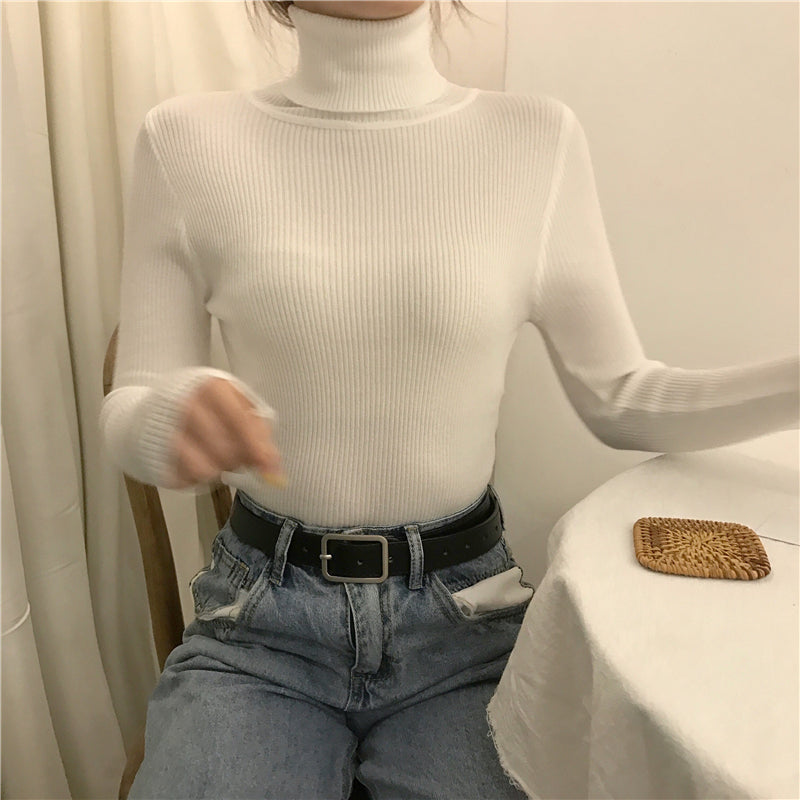 Women Turtleneck Sweater Knitted Soft Pullovers Cashmere Jumpers Basic Soft Sweaters For Women 2024 Autumn Winter