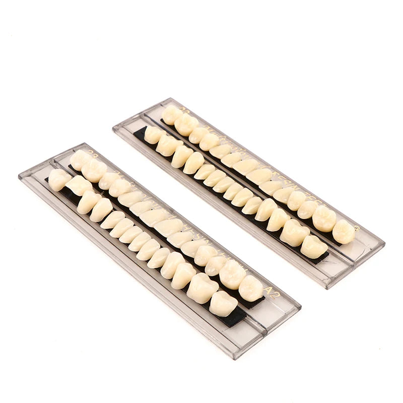 28teeth Resin Denture Teeth Comparator Mirror Dentistry Bleaching Dental Plate Research On Dental Education Model