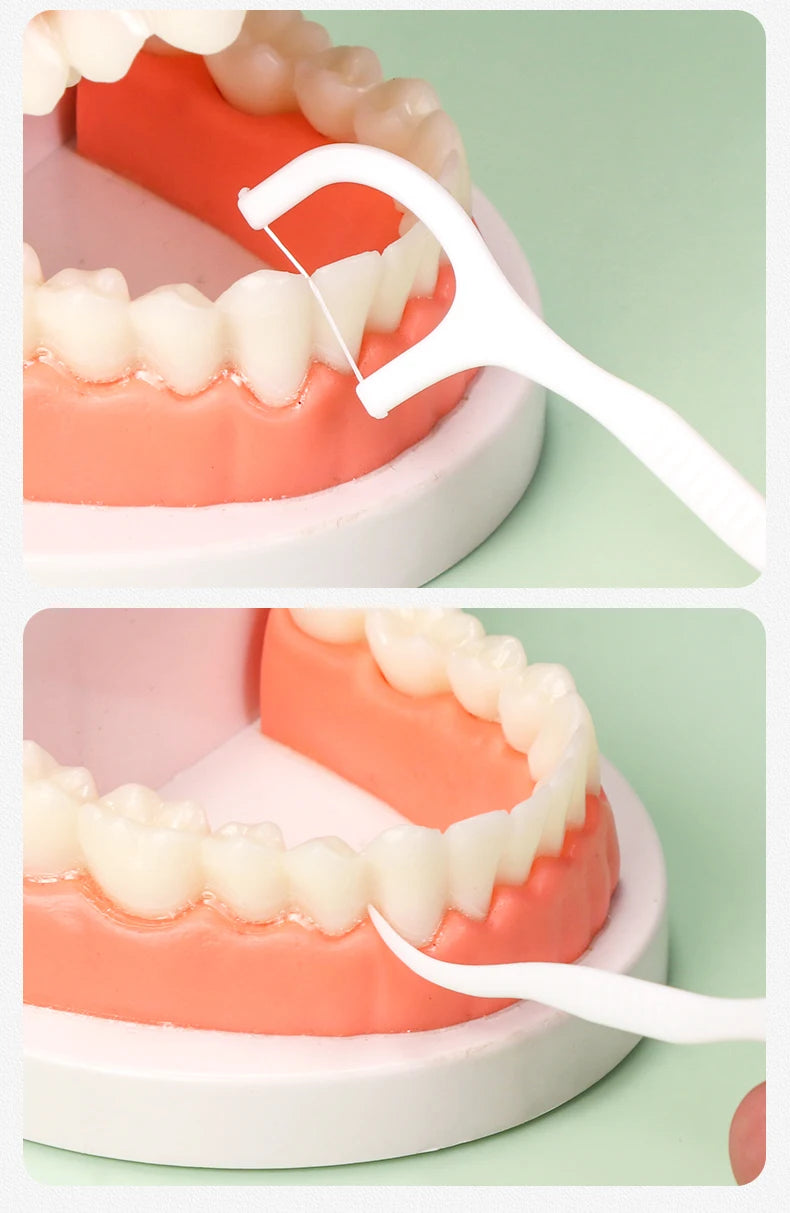 50/150/300/600/1000 PCS dental floss sticks oral care tools Viralgem Store