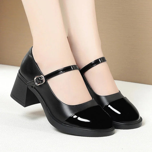 Women Shoes 2024 New Fashion Retro Round Toe Soft Leather Casual Mary Jane Shoes Shallow Mouth Waterproof Platform Shoes Viralgem Store