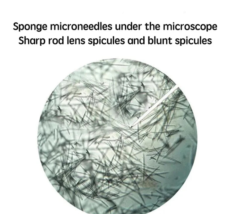 10pcs Sponge Microcrystal Freeze-dried Powder Collagen Regeneration Natural Biological Extract Sponge Spicules Skin Cell Renew Viralgem Store