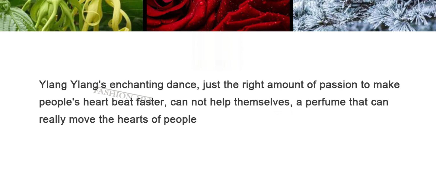 50ml Brand Perfume For Women Men's Long Lasting Atomizer Sexy Lady Fragrance Wood Good Girl Love Don't Be Shy Perfume