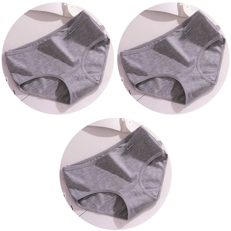 44490765926556|44490765992092|44490766024860