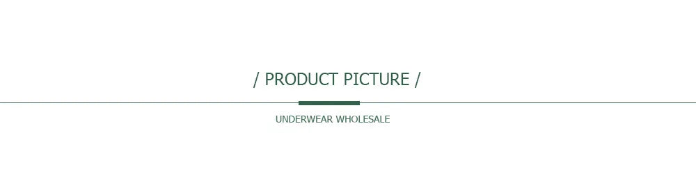 5 PCS/SET Lingerie Sexy Lace Thongs Woman Low G String Girls Underpants M-XL Transparent T-back Underwear Women Panties Viralgem Store