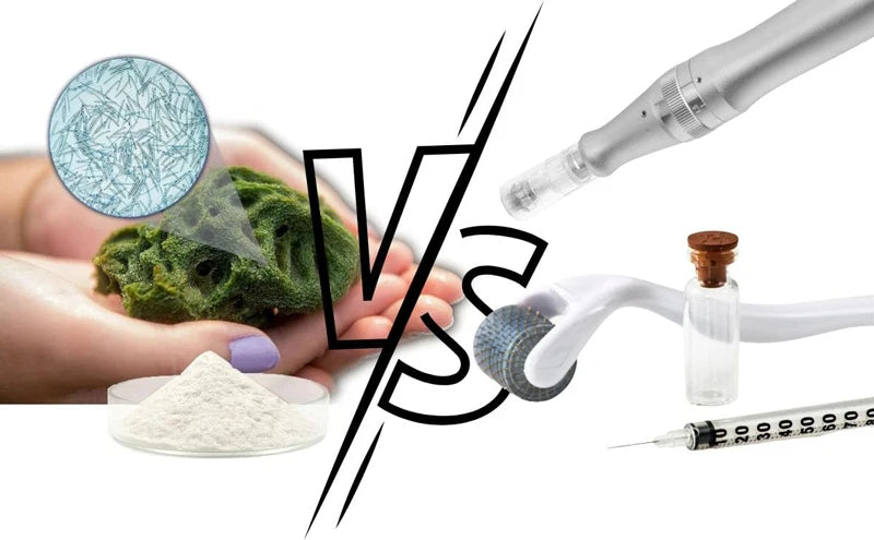 10pcs Sponge Microcrystal Freeze-dried Powder Collagen Regeneration Natural Biological Extract Sponge Spicules Skin Cell Renew Viralgem Store