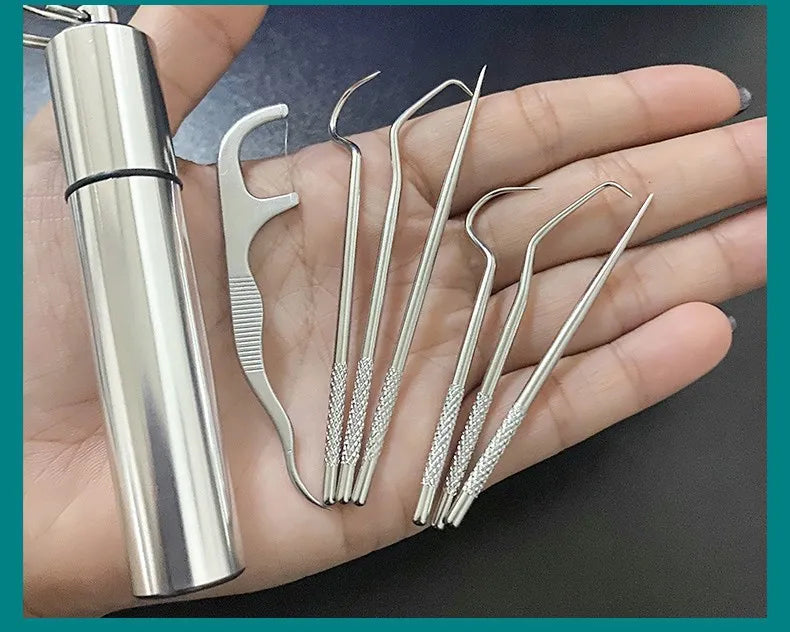 1Set Toothpick Set Metal Stainless Steel Oral Cleaning Tooth Flossing Portable Toothpick Floss Teeth Cleaner with Storage Tube
