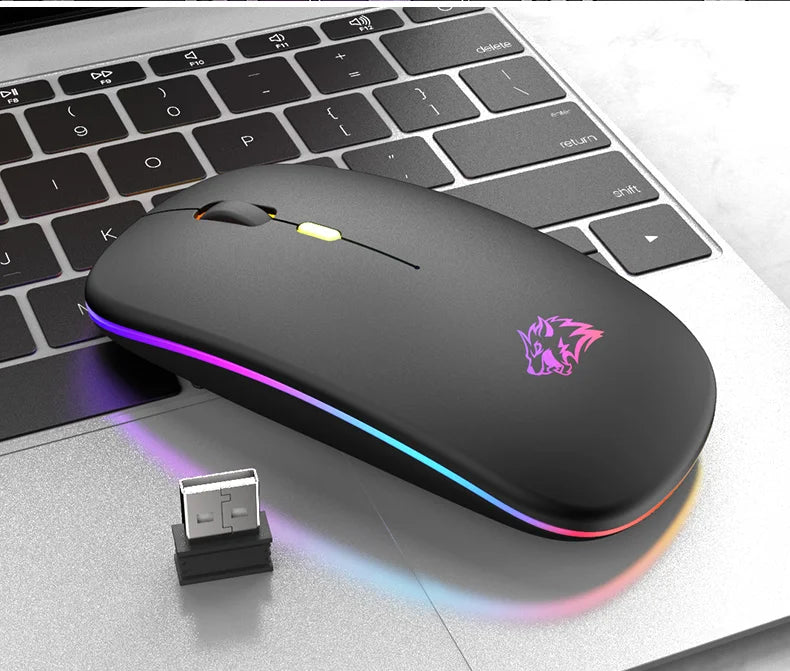 Wireless Mouse Bluetooth and 2.4GHz Dual Modes Rechargeable RGB Ergonomic Silent Click for PC iPad Laptop Cell Phone TV Viralgem Store